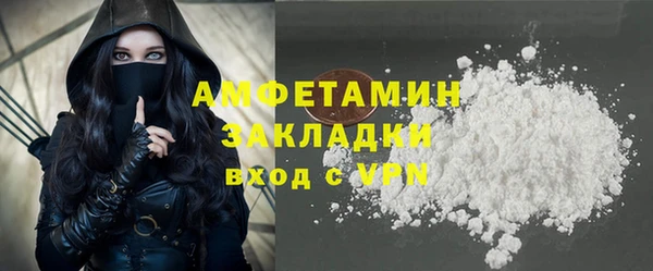 шишки Заводоуковск