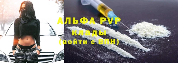 шишки Заводоуковск