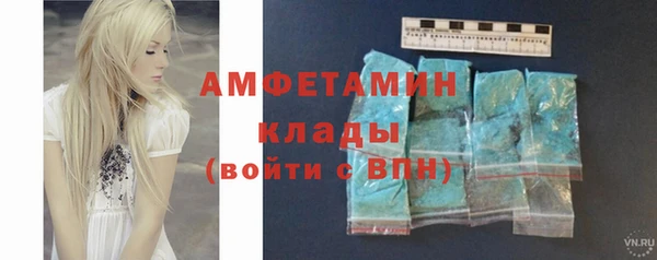 шишки Заводоуковск