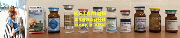 шишки Заводоуковск