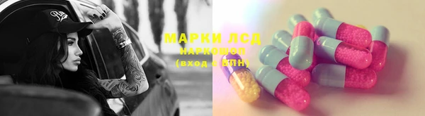 шишки Заводоуковск