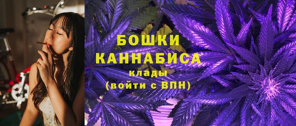 шишки Заводоуковск
