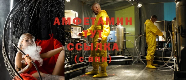 шишки Заводоуковск
