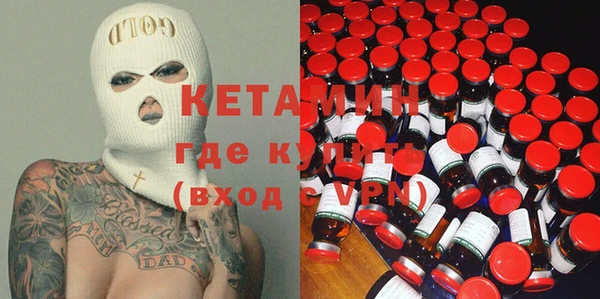 шишки Заводоуковск
