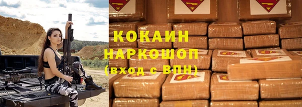 шишки Заводоуковск