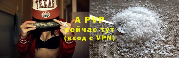 шишки Заводоуковск