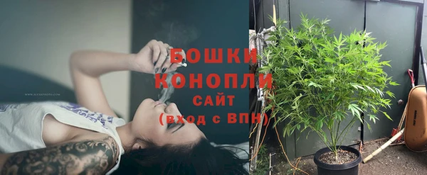 шишки Заводоуковск