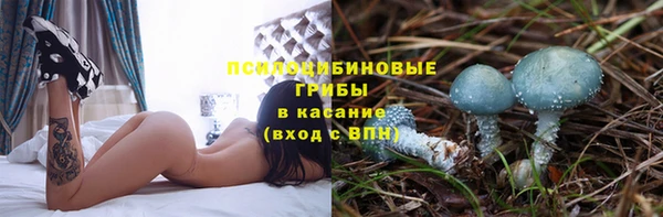 spice Заволжск