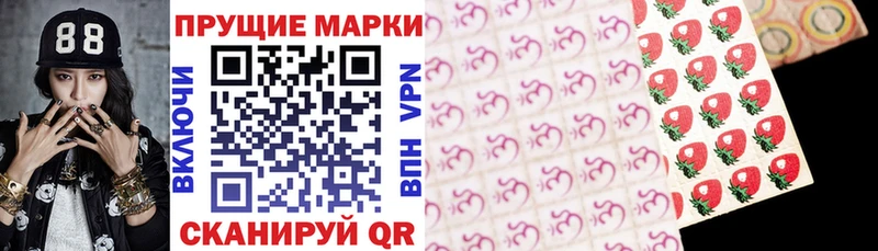 где купить наркотик  Каменка  Марки NBOMe 1,8мг 