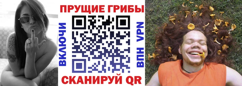 ОМГ ОМГ как зайти  Каменка  Псилоцибиновые грибы Magic Shrooms 